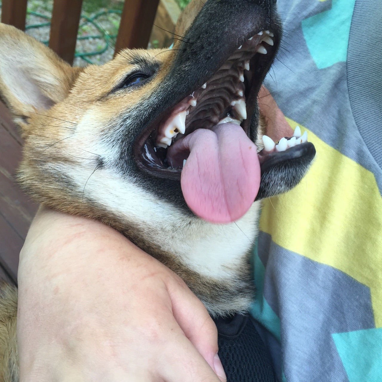 beatmybrain:  he’s beauty, he’s grace……