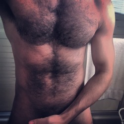 cat5huntr:  #fitness #gay #hairy #hairychest