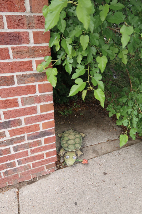 Street Art by David Zinn porn pictures