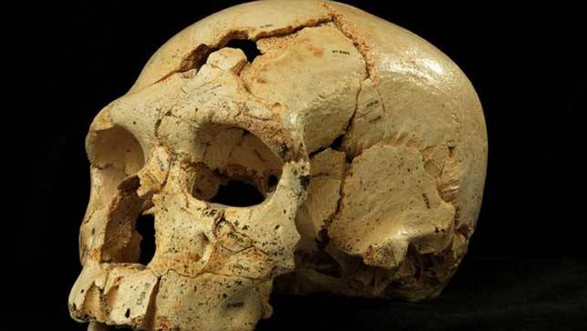 ‘Mixed’ Neanderthal skull offers new insights into human evolution
Scientists have long sought to understand the “Neanderthalization process” by which modern humans and Neanderthals evolved apart.