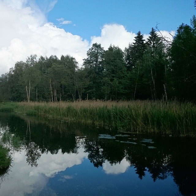 #Palace #park,  #Gatchina #Russia  #travel 🌍   a long long time ago in my childhood