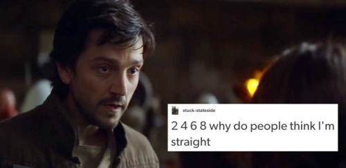 andorandrook:Cassian Andor + bisexuality test posts(more rogue one + text posts (X))