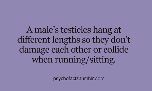 psychofactz:  More Facts on Psychofacts :)