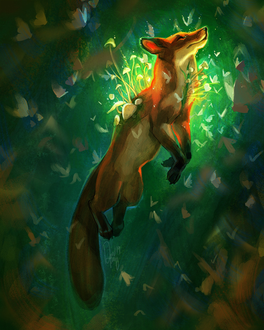 tamberella:The Fox