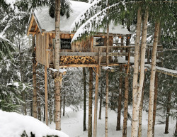 womanspleasure:  my DREAM treehouse