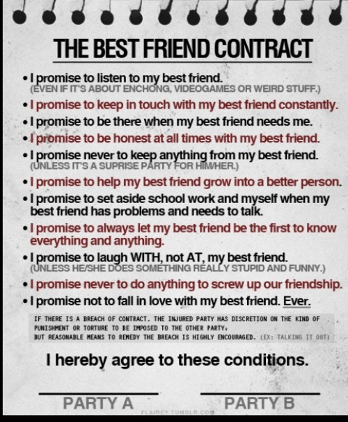 Funny quotes about friendship