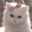 grumpiest-angel