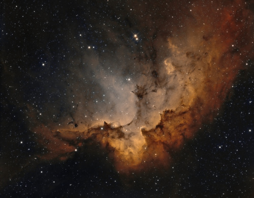 hanniballecktor: just—space: The Wizard Nebula by Steve Furlong