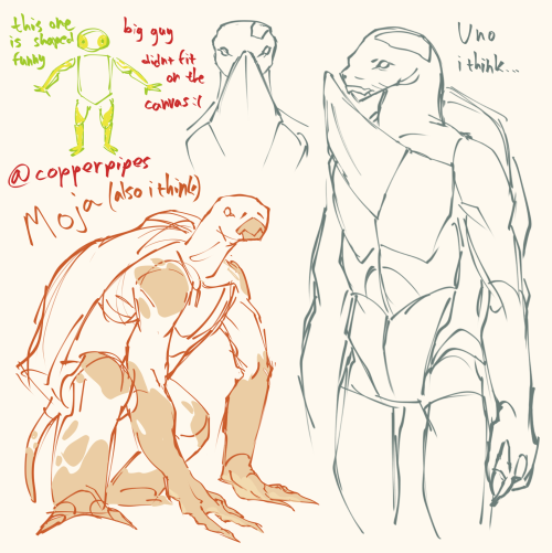 Perhaps One Of The Next Gen Turtles From The Last Ronin?