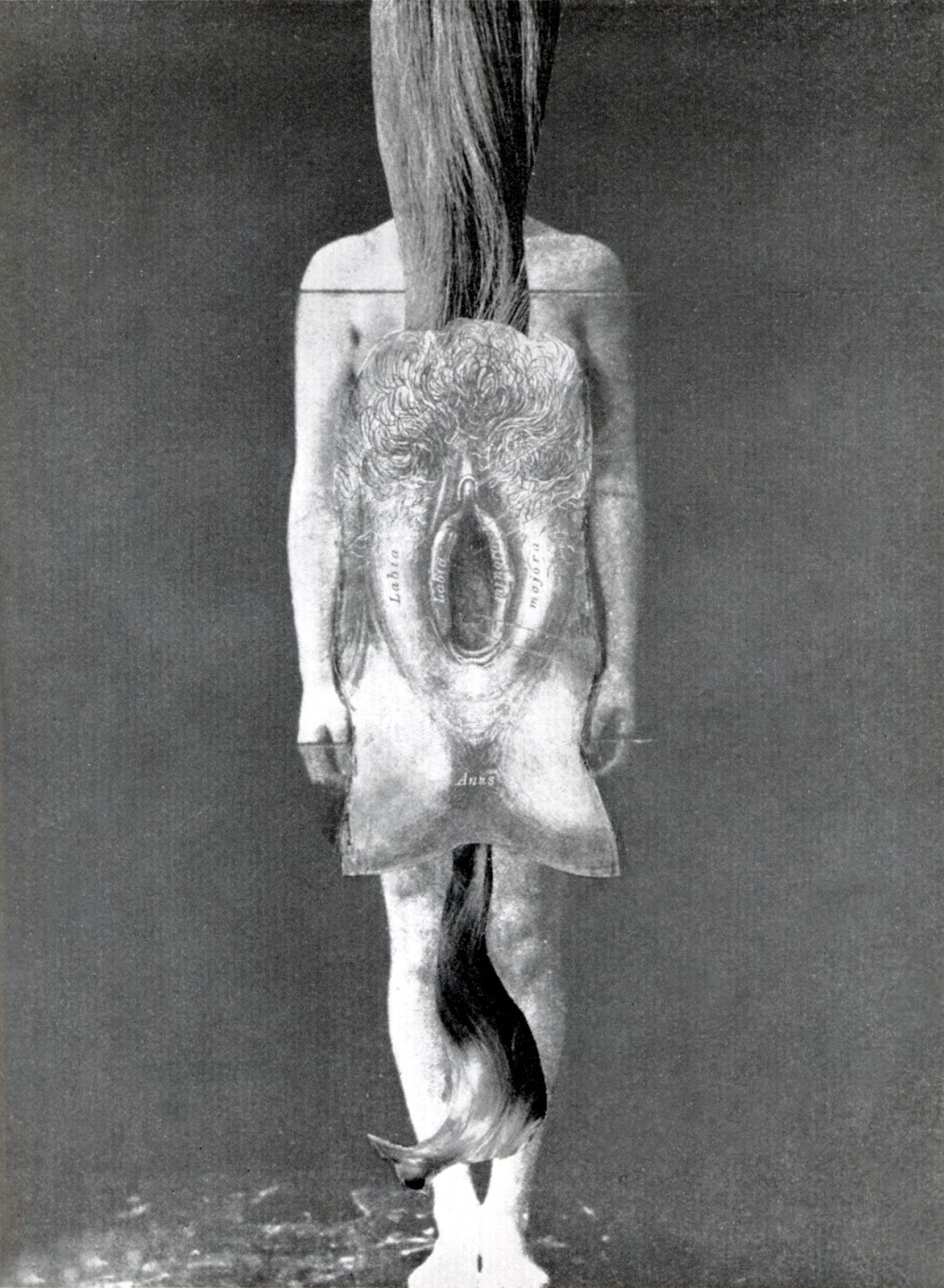 hushaby:  The Cabinet of the Solar Plexus: Penny Slinger … Collage and drawing