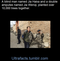 ultrafacts:  “I am his hands. He is my