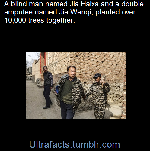 ultrafacts:  “I am his hands. He is my eyes.”Jia Haixa talks of his symbiotic relationship with his friend Jia Wenqi — a double amputee. The pair work together to plant trees in Yeli village, just outside of Shijiazhuang city, northern China.Losing