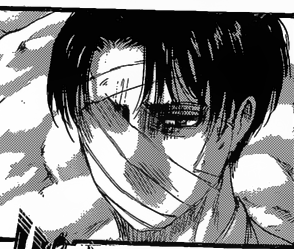 Featured image of post Levi Ackerman Manga Pfp / Levi ackerman is one of the most popular characters in all of the hit shonen anime attack on titan.