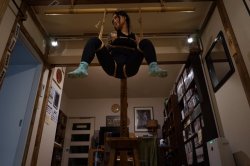 thevertigonetwork:    Kinbaku Naka AkiraModel PoppyPhoto Chiaki 