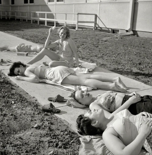 forties-fifties-sixties-love:  Sunbathing 