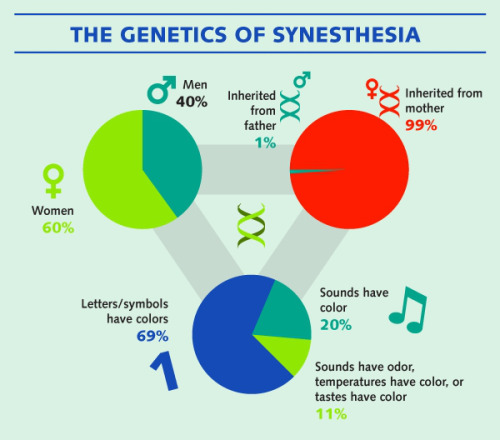 psicologicamenteblog: Source: Understanding the phenomenon of synesthesia. Follow Francesca Mura on&