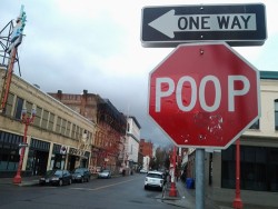 blogvader:  thug-garden:  someone has been changing stop signs in portland to say “poop”  I laughed at this… because inside, I’ve got the maturity of a twelve year-old. 