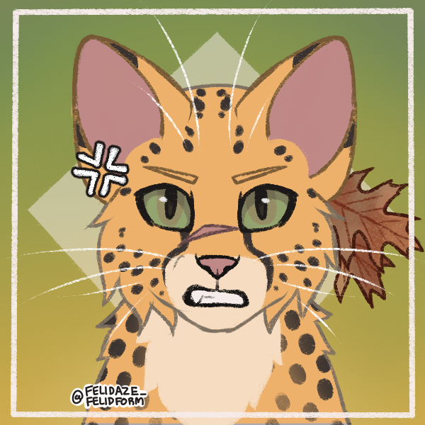 Two possibly new Warrior Cats OCs I made in Felidaze's cool cat creator on  Picrew. Name ideas? : r/WarriorCats