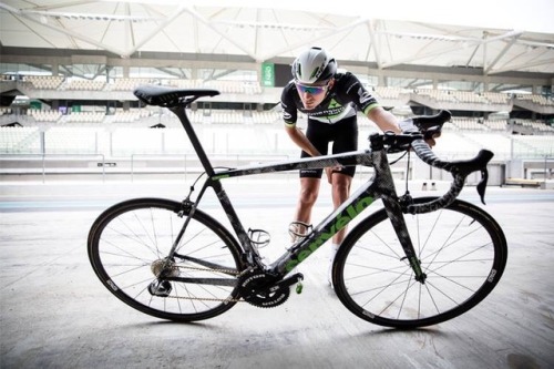 gentlemandomestique:That new bike feeling. Johann checking the detail of the new Cervelo R5 in Abu D