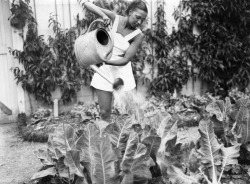 ehoradote:  Josephine Baker, Gardner, 1938  Josephine Baker tending her garden at the Chateau des Milandes, her home from 1937 to 1969 