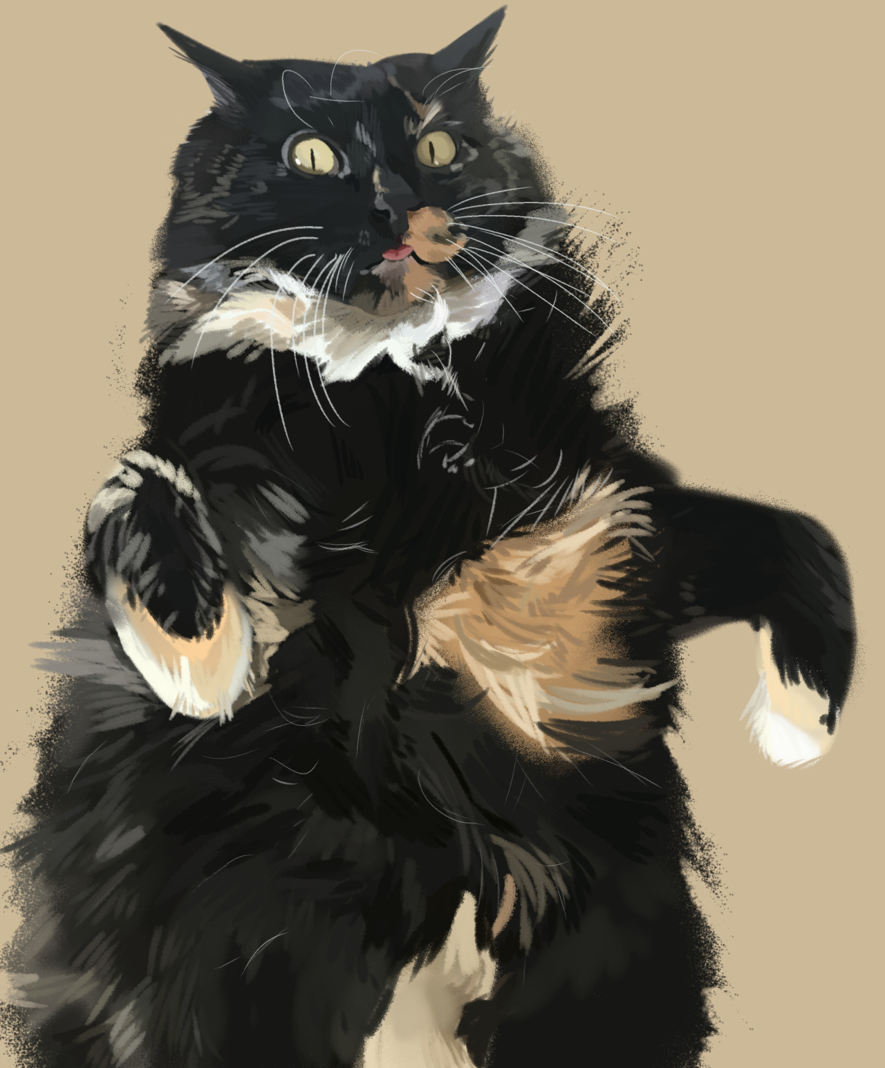 December 28, 2019. another painting of my cat!!