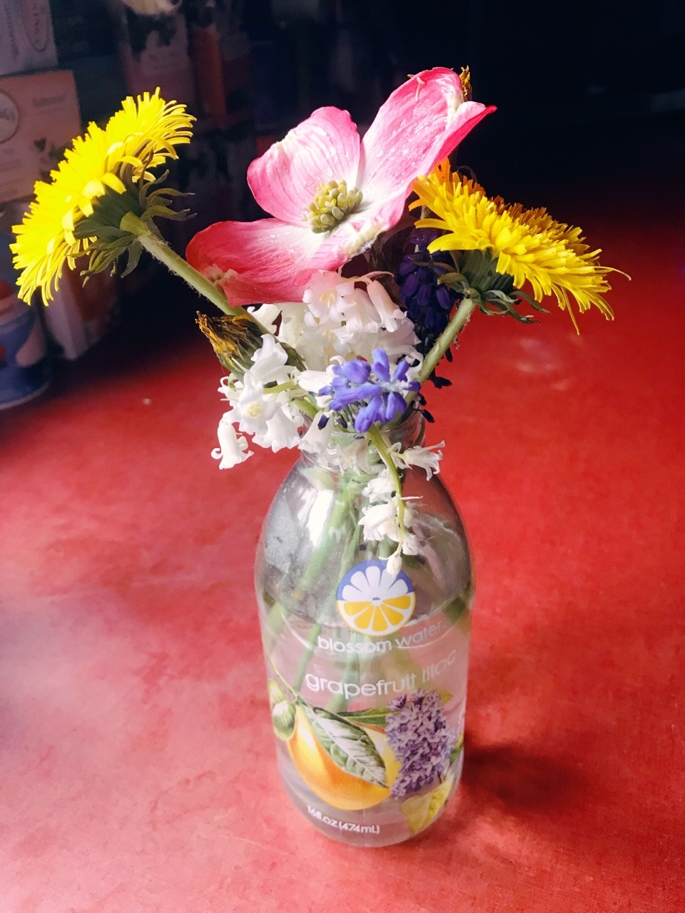 marshmallowmaximus:‪I picked flowers early this morning 