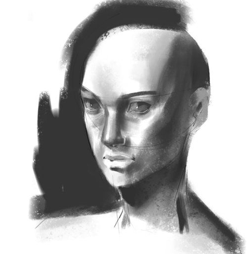 photo study w/ half-assed hair + shitty imagination...