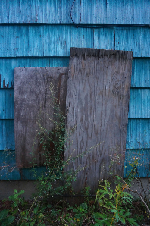 Blue abandoned house - Peabody, MA