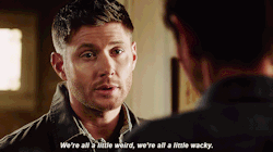 obsessedwith-castiel-dean-sam:  plan-d-for-dumbass67:  Weird doesn’t even begin to describe this show  but perfect does 