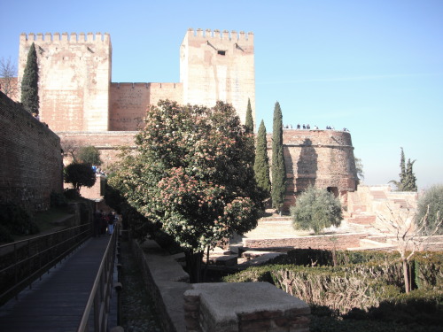 theewildchildx3:  The Alhambra Palace, Granada Spain 