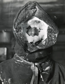 The icy face of the meteorologist  C.T. Madigan, a member of the Australasian Antarctic Expedition team, 1913.