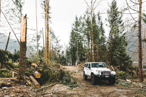 Great weekend spent off-roading in Chilliwack BC. New front and rear bumpers are by arbusa.com