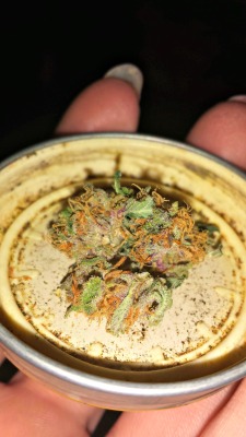 ghosttokes:  If you need me I’ll be over here drooling over my weed. 