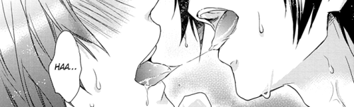 (ﾉ◕ヮ◕)ﾉ*:･ﾟ✧ やおい {HAITUS}