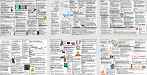 Want a summary of all 11 topics on one page?Look no furtherhttps://www.tes.com/teaching-resource/aqa