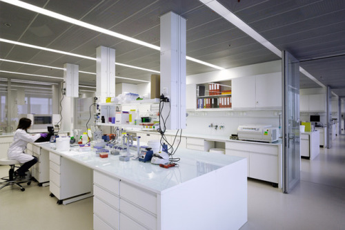 Yoshio Taniguchi + Blaser Architekten, Building WSJ-155 at the Novartis Campus, Basel, Switzerland, 