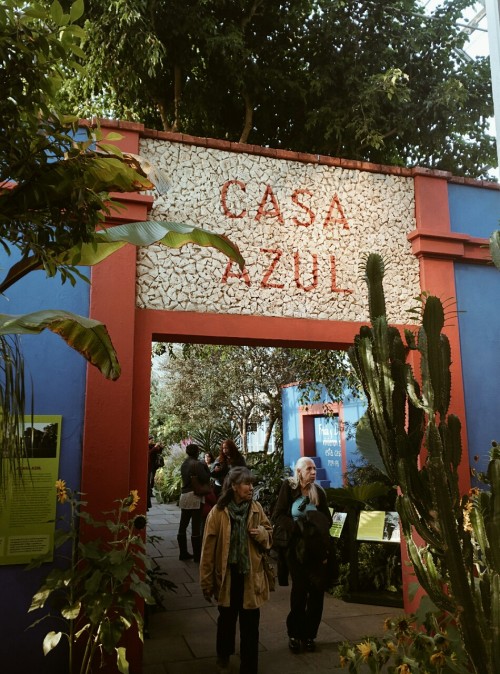 sonoanthonypics:Frida Kahlo exhibit in the Botanical Garden. Bronx, NY. 2015. 