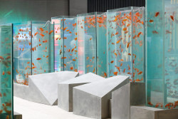 nyctaeus:  Fishpond City features glass tanks