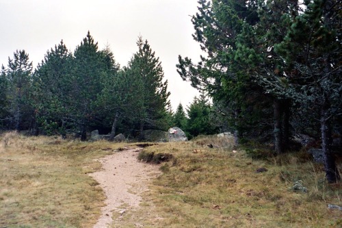 GR 70 “Le Chemin de Stevenson” près du sommet du Mont Lozère, le parc national des Cèvennes, France,