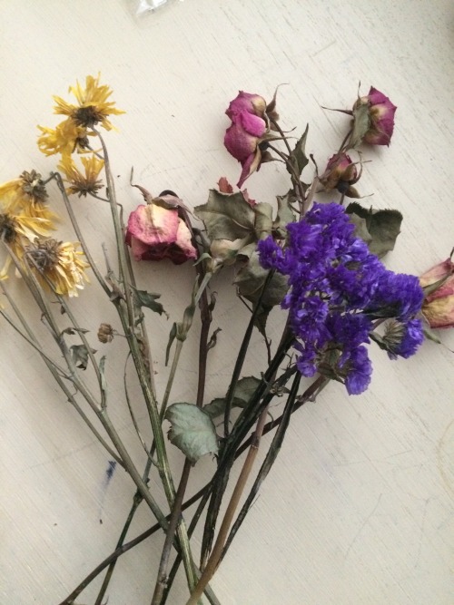 keep-gogh-ing:dried flowers are so poeticig: Gogh.Kiddo