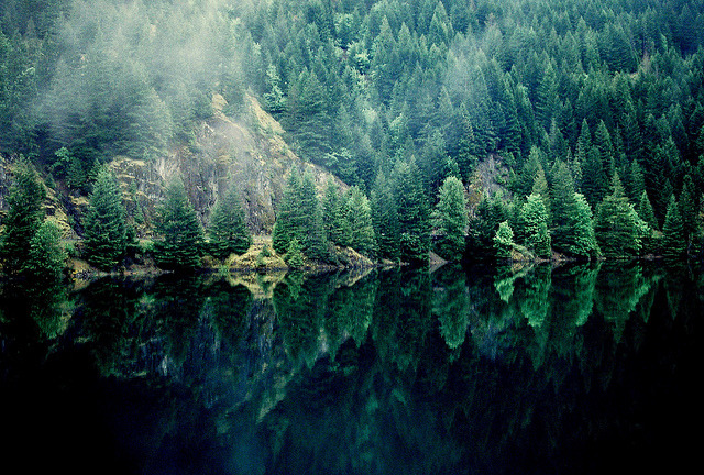 slanting:  (by gears)