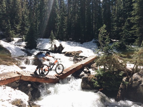 wakeourworld: kubshta: Slippery. (via TumbleOn)
