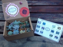 laadyyblue:  Check out our Etsy  https://www.etsy.com/shop/LaFleurSucculente  We have succulents for sale, in our signature packaging, a long with hanging mason jars &amp; milk bottles for candles, flowers, storage, ect, for sale. We will have many new