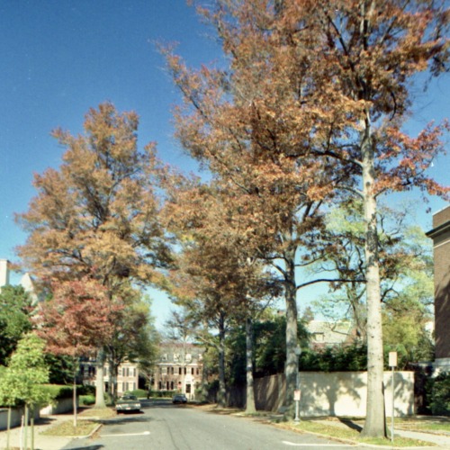 Upper Northwest in Autumn, Washington, DC, 1972.