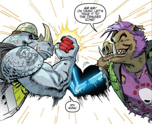 One of my favorite things about the Hit the Road mini-series: IDW Bebop & Rocksteady saying “My 