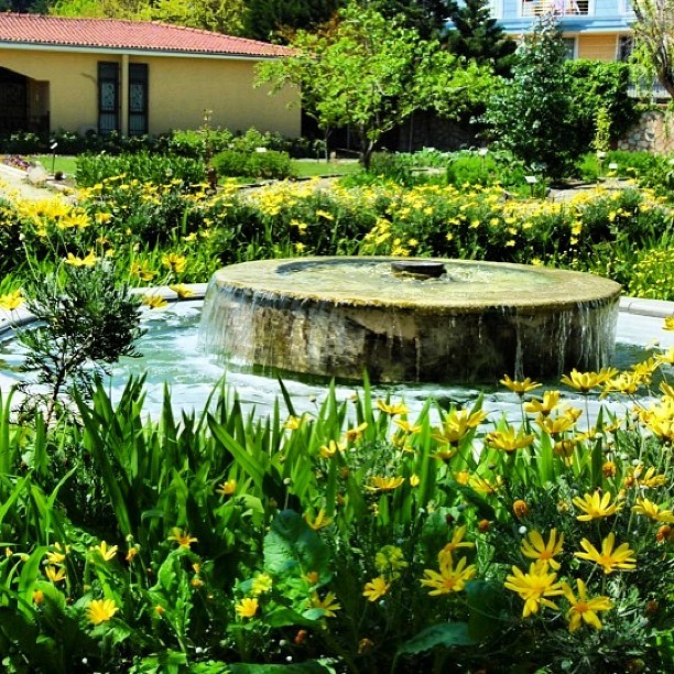 Urban medical garden #zeytinburnu #medicalgarden #urban #urbangarden #spring #istanbul #lookinist #education #natural #cosmetics #clever #plants