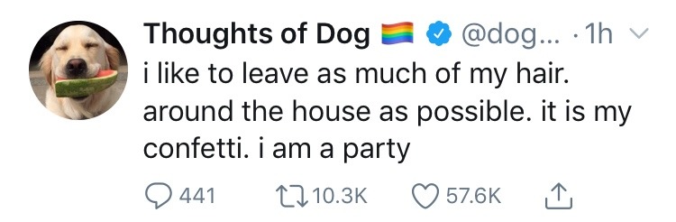c0ffeekitten:  “I am a party” is my personal mantra from now on 