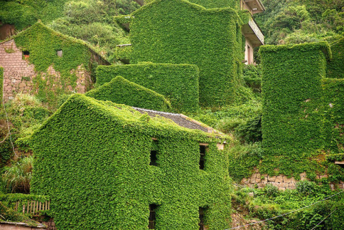 archatlas: Abandoned Chinese Fishing Village Being Swallowed By Nature Shengsi, an archipelago of a