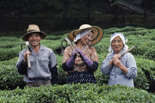 unrar:Informal portrait of a farming family in a field, Japan, Paul Chesley.