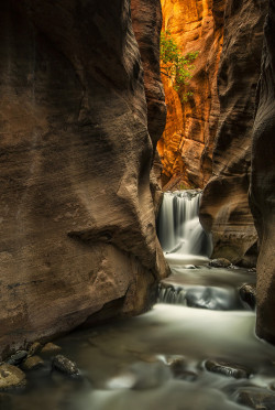 wowtastic-nature:  ∞ infinity ∞ by  Danilo Faria on 500px.com (Original Size - Height: 2757px - Width: 1854px) 